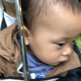 おはようございます！の画像