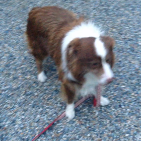 いい天気 土曜日の画像