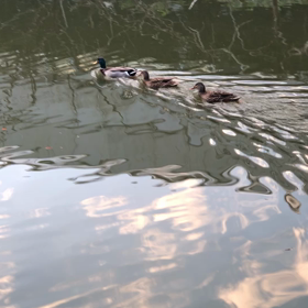 ４　途中で書いてたら消えちゃった( ；∀；)の画像