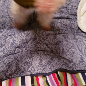 よろこぶサーラの画像