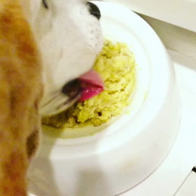 ”回り道も旅の一つです”の画像