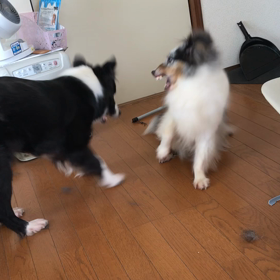 今日もエアコンのスイッチを入れたらの画像