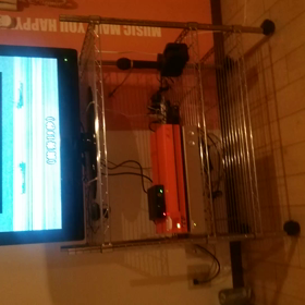 一人好きの画像