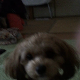 バーンの練習動画の画像