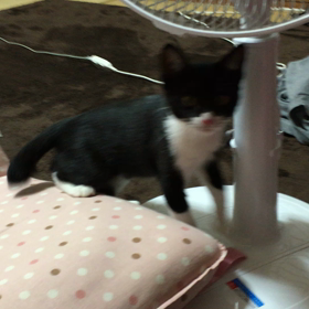 ななちゃん帰ってきた♡*°の画像