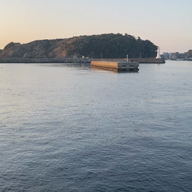 すごい群れに遭遇の画像