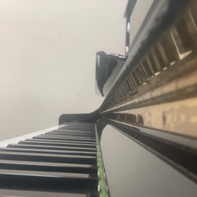 ベルがマスク組曲練習中の画像