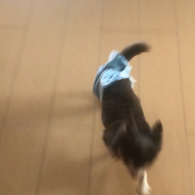 楽しい嬉しいHappyの画像