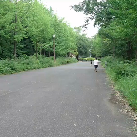 100m記録会 Bグループ⑩の画像