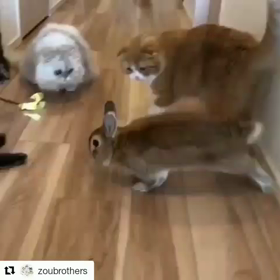 ここにいたら昇天するぞの画像