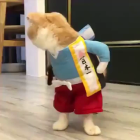 腹が減っては戦ができないの画像