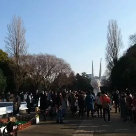 懐かしいのを見つけました（代々木公園）の画像