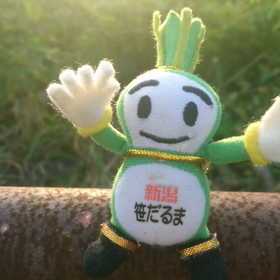 6/26の画像