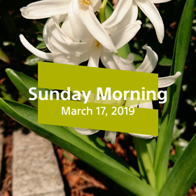 休日の朝の画像