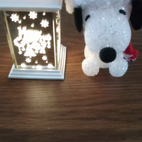 買ってしまったの画像