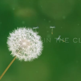 Dog in the clouds( ^ω^ )の画像