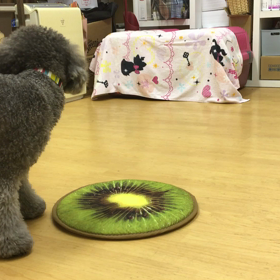 諦めないで。の画像