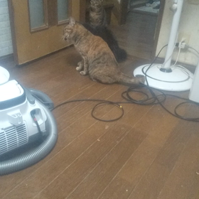 大好きは良いけど。。。の画像