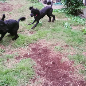 本格的な…の画像