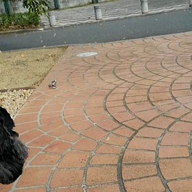 シャボン玉の画像