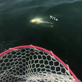 次女と釣りへの画像