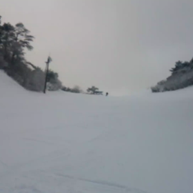 とーちゃんの画像