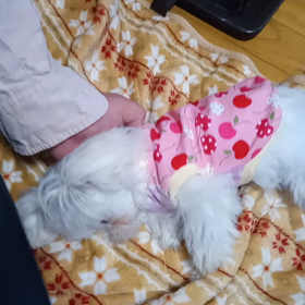 作りました〜。の画像