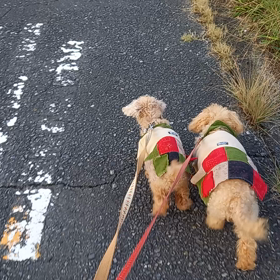 後ろ姿が可愛い動画の画像