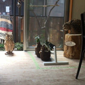 おかえり〜(*´ω｀*)の画像