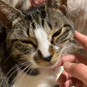 思い切って受診した結果の画像