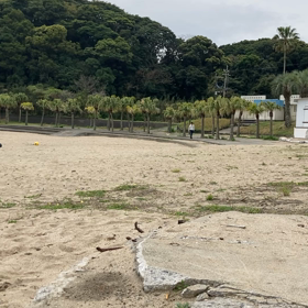 まるちゃん散歩の画像