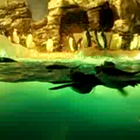 今日の名古屋港水族館の画像