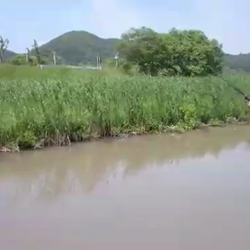 探す作業の裏側ムービーの画像