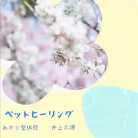 ペットヒーリングの画像