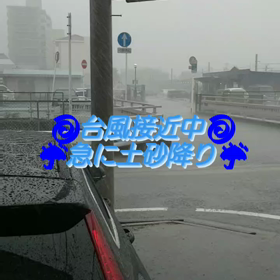 業務連絡 ♪ 来週の予定の画像