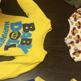 お手伝いが訓練の画像