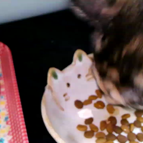 お初です(^^)の画像