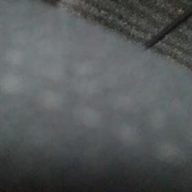 おいでラスカルの画像