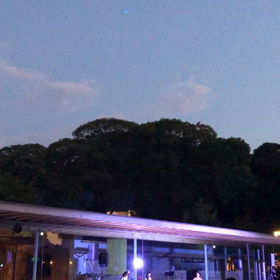 MmeBertin パプリカの画像