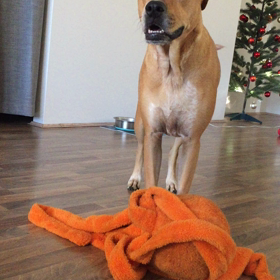 うるさいクレーマー再びの画像