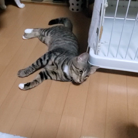 日々成長の寿安ちゃんの画像