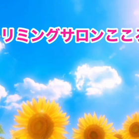 スライドショーの画像