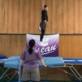 水鳥は水面下でがんばっている3の画像