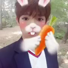 【ﾛﾐｵ】カンミン・ウサギ❤～公式Twitter～の画像