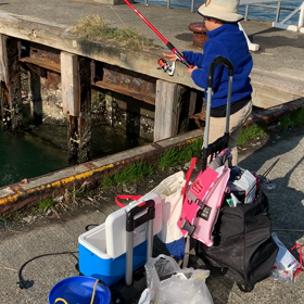南港でサビキ釣りの画像