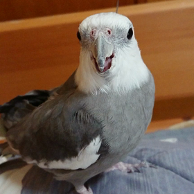 みつけてしまった！の画像