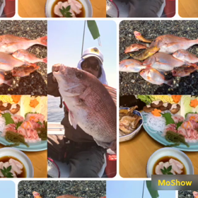 サボってたブログをボチボチとの画像