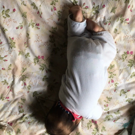 4m27d☆寝返り動画&うちの母最強の画像