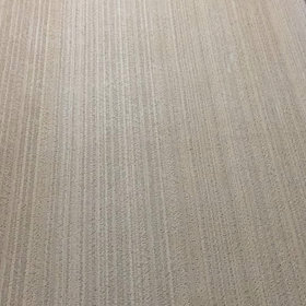 アーティストLISAばれの画像