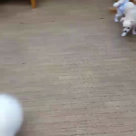 毎日暑いですがの画像